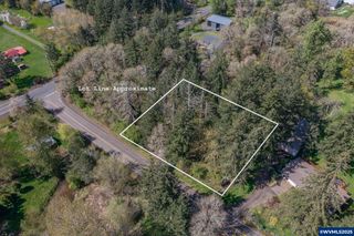 Valley View (Lot 1102) NW, Albany, OR 97321