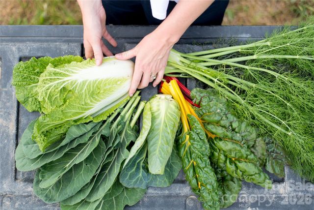 6 River Run 2, Asheville, NC 28804