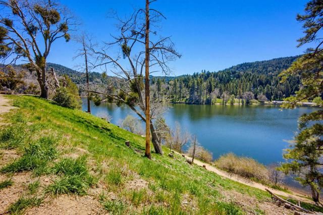 23413 Knapps Cutoff, Crestline, CA 92325