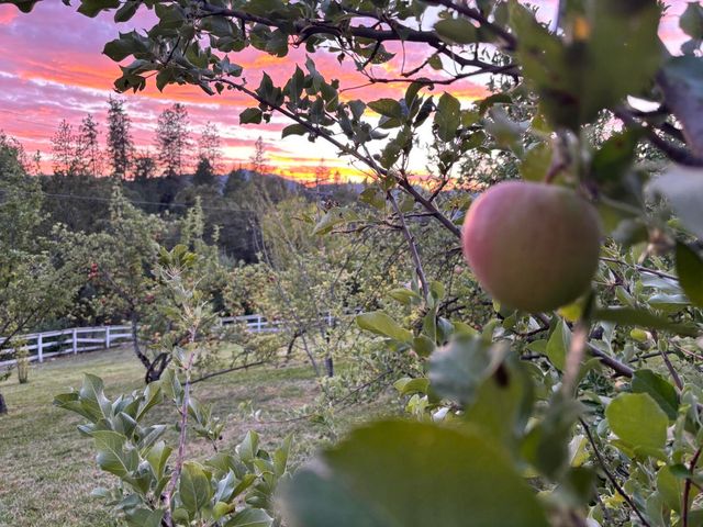 2399 Rogue River Highway, Gold Hill, OR 97525