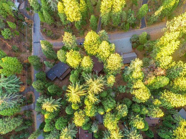 729 Dawyn Dr, Arnold, CA 95223