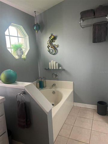856 DELFINO PLACE, Lake Mary, FL 32746
