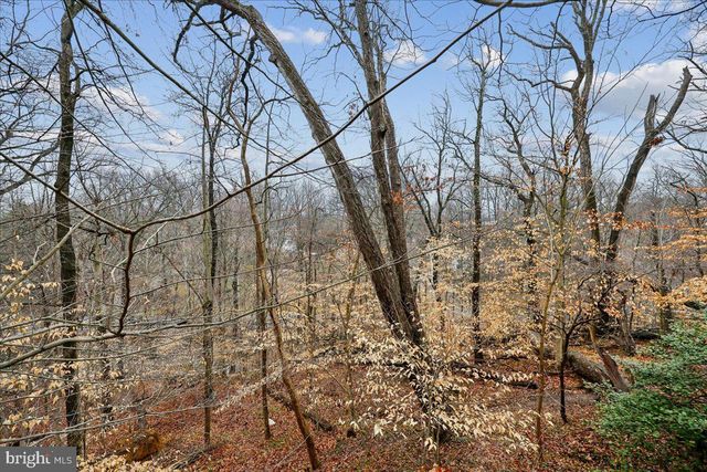 700-A CHANEY DR, Takoma Park, MD 20912