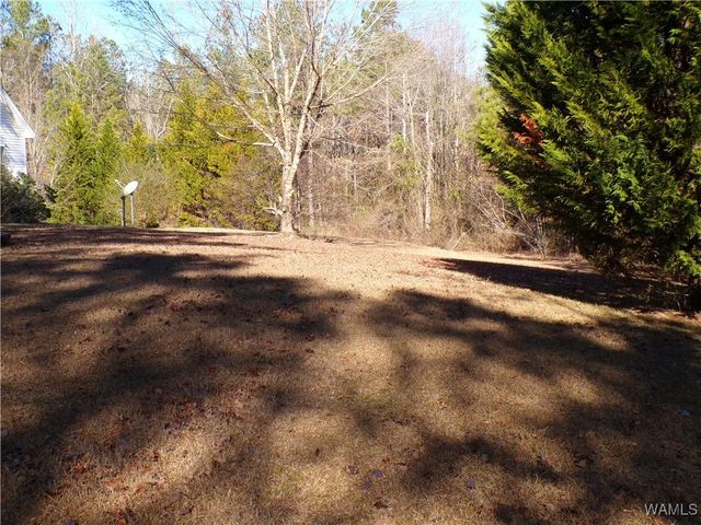 18055 Hunnicutt, Fayette, AL 35555