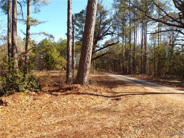 18055 Hunnicutt, Fayette, AL 35555