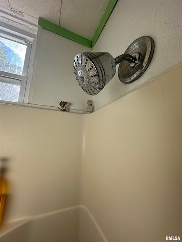 1300 S GREENLAWN Avenue, Peoria, IL 61605