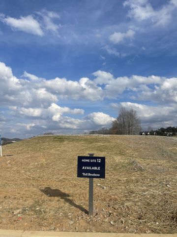 214 Berry Hunter Lane, Franklin, TN 37067