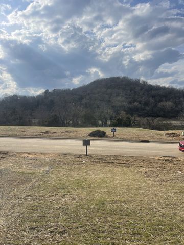 214 Berry Hunter Lane, Franklin, TN 37067