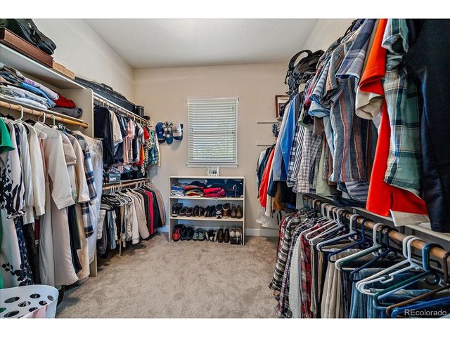 7418 Cameron Dr, Larkspur, CO 80118