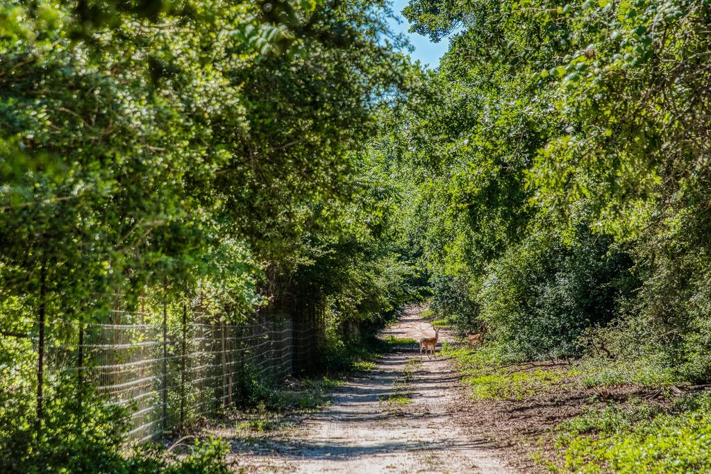 511 LCR 793, Groesbeck, TX 76642