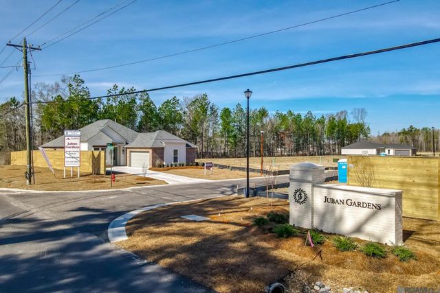 10688 Deric Ave, Denham Springs, LA 70726