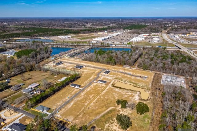 10688 Deric Ave, Denham Springs, LA 70726