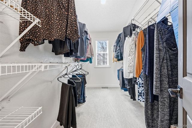 10619 Winterflower Way, Parker, CO 80134