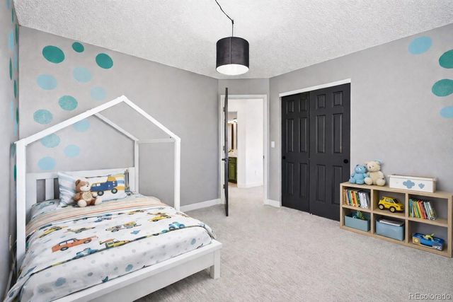 10619 Winterflower Way, Parker, CO 80134