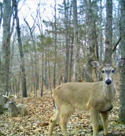 21805 Revere Lane, Waynesville, MO 65583