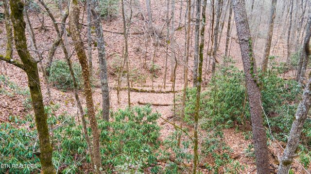 408 Deer Run Drive, Maryville, TN 37803