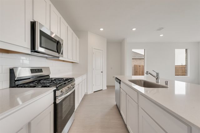 1817 Alpine Larch Lane, Mckinney, TX 75071