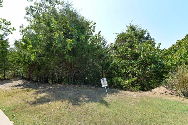 149 South Drive, Branson, MO 65616