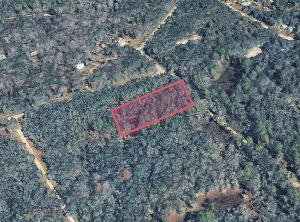 9211 ROUSSEAU STREET, Webster, FL 33597