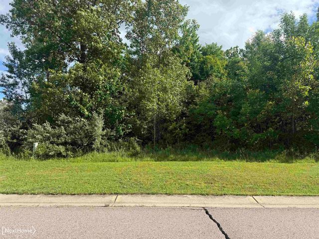 VL Lot 53 Willow Trail, Grand Blanc, MI 48439