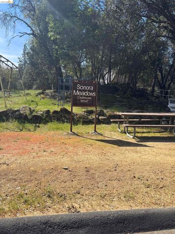 21955 Fallview Drive, Sonora, CA 95370