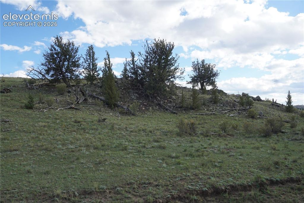 1022 Walls Street, Hartsel, CO 80449 — exterior