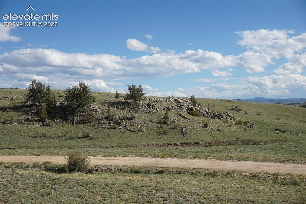 1022 Walls Street, Hartsel, CO 80449 — photo 3