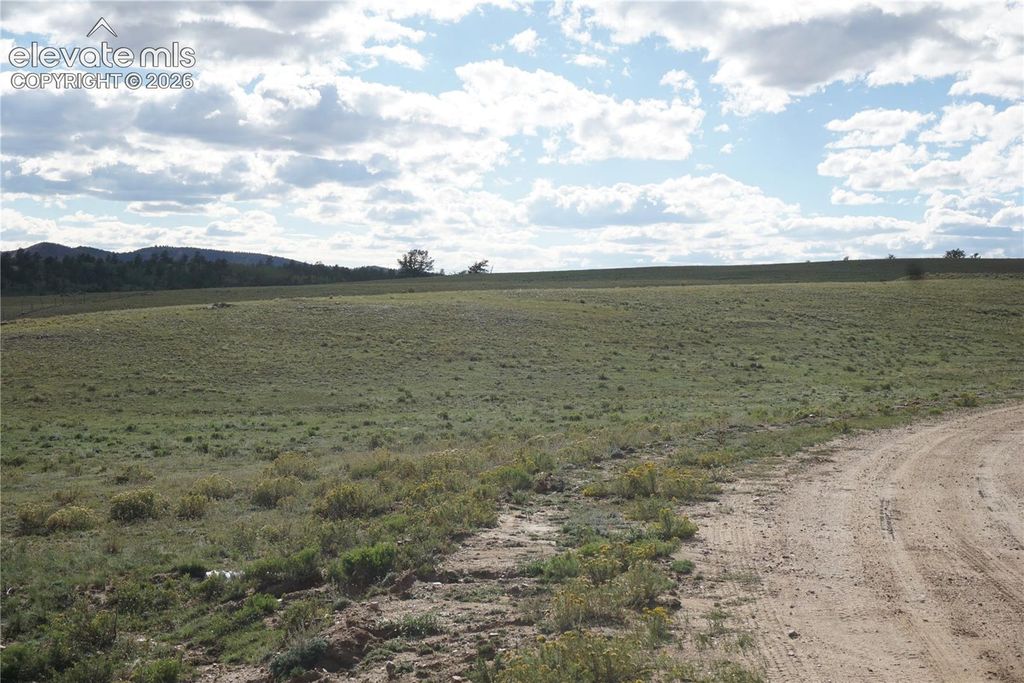 1022 Walls Street, Hartsel, CO 80449 — photo 4