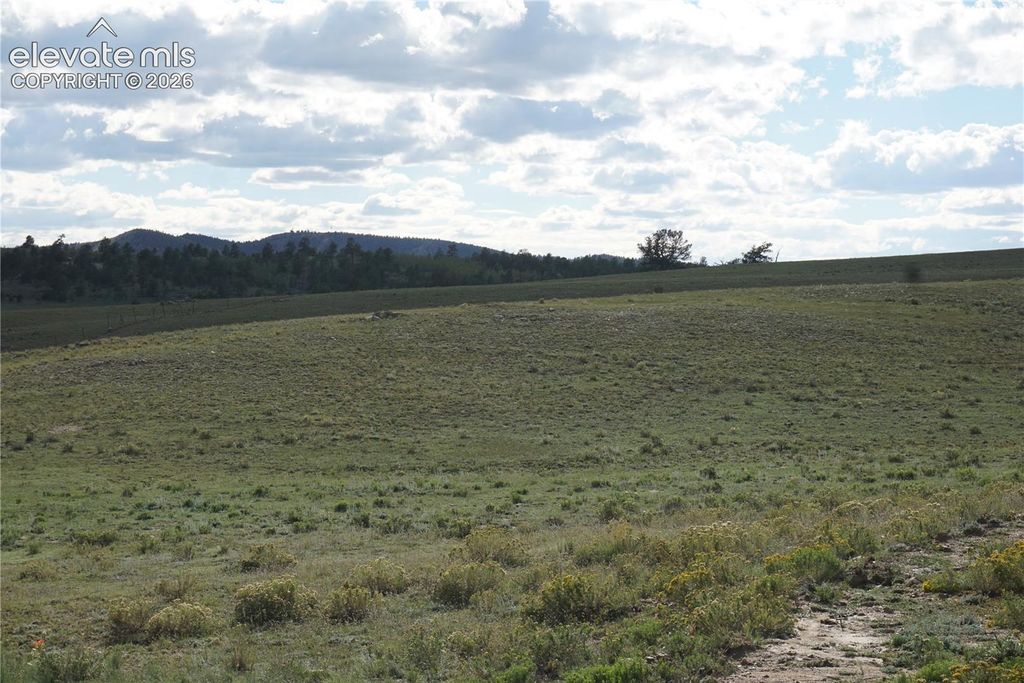 1022 Walls Street, Hartsel, CO 80449 — photo 5