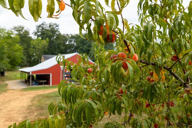 2350 Joe Brown Rd, Spring Hill, TN 37174