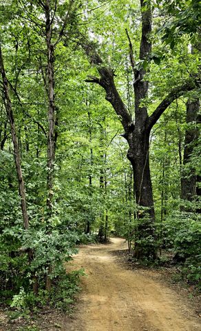 2350 Joe Brown Rd, Spring Hill, TN 37174