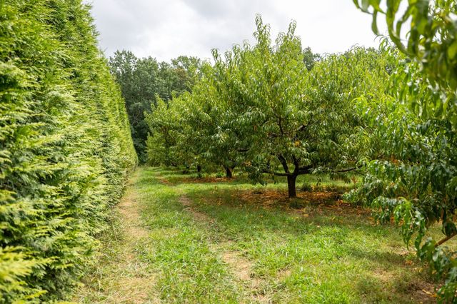 2350 Joe Brown Rd, Spring Hill, TN 37174