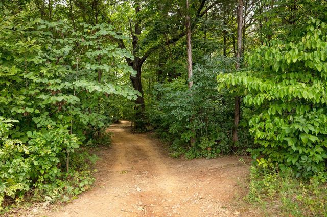 2350 Joe Brown Rd, Spring Hill, TN 37174