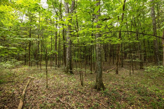 2350 Joe Brown Rd, Spring Hill, TN 37174