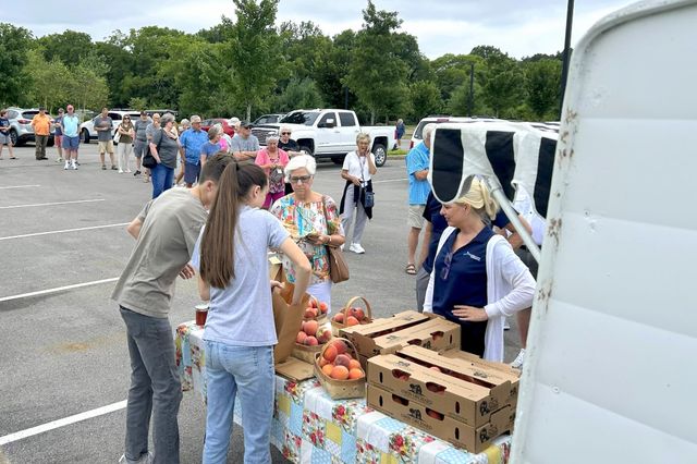 2350 Joe Brown Rd, Spring Hill, TN 37174