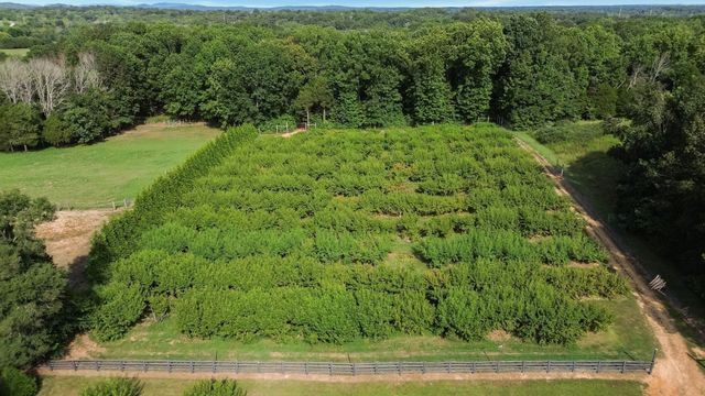 2350 Joe Brown Rd, Spring Hill, TN 37174