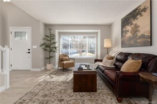 10075 Silver Maple Road, Highlands Ranch, CO 80129