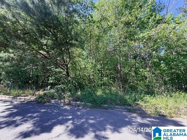 204 MELBOURNE CIRCLE, Birmingham, AL 35022