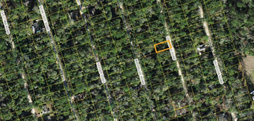 x Chicopee Road, Crawfordville, FL 32327