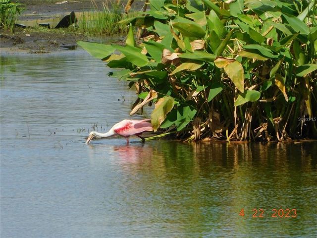 25601 HERITAGE LAKE BOULEVARD 46, Punta Gorda, FL 33983