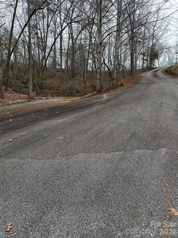 00 Jackson Cove Road W 2, Mill Spring, NC 28756