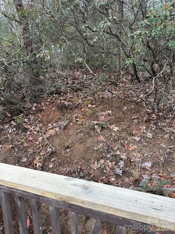 00 Jackson Cove Road W 2, Mill Spring, NC 28756