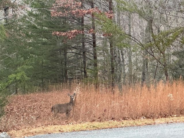 00 Jackson Cove Road W 2, Mill Spring, NC 28756