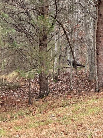 00 Jackson Cove Road W 2, Mill Spring, NC 28756