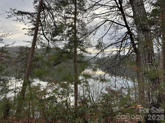 00 Jackson Cove Road W 2, Mill Spring, NC 28756