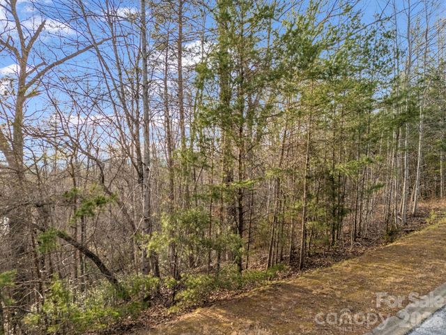 00 Jackson Cove Road W 2, Mill Spring, NC 28756