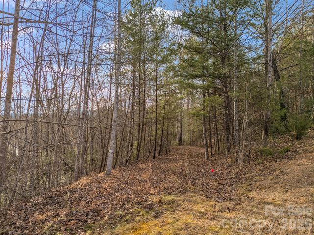 00 Jackson Cove Road W 2, Mill Spring, NC 28756