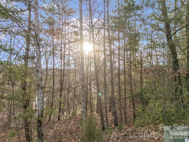 00 Jackson Cove Road W 2, Mill Spring, NC 28756