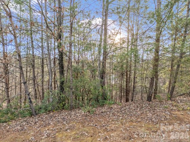 00 Jackson Cove Road W 2, Mill Spring, NC 28756