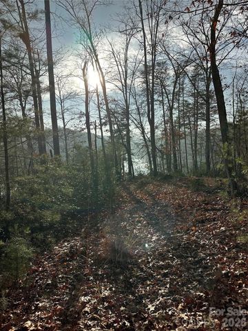 00 Jackson Cove Road W 2, Mill Spring, NC 28756